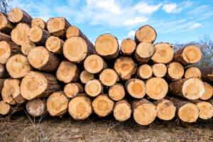 Just Firewood
